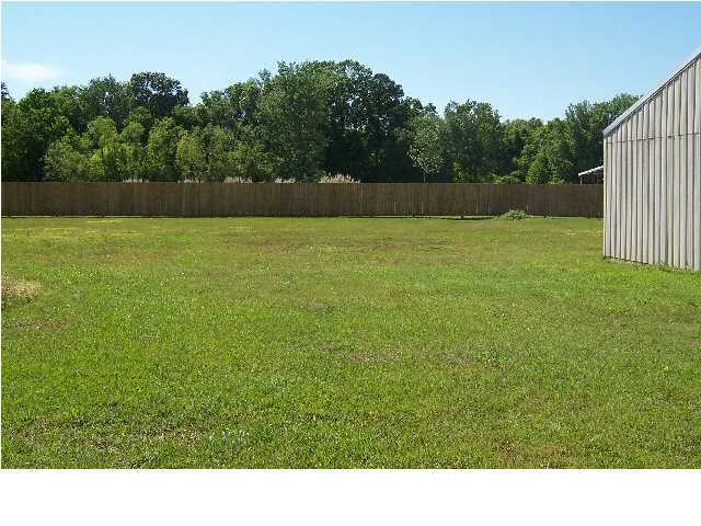 4643 Parishville Road Meggett, SC 29449 - Photo 21 of 23 Additional Photo