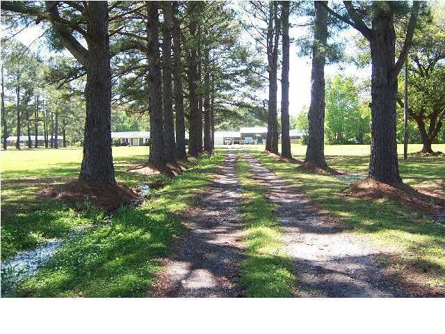 4643 Parishville Road Meggett, SC 29449 - Photo 5 of 23 Additional Photo