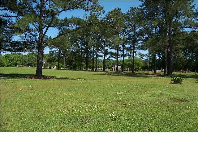 4643 Parishville Road Meggett, SC 29449 - Photo 7 of 23 Additional Photo
