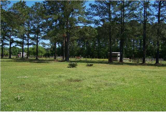 4643 Parishville Road Meggett, SC 29449 - Photo 8 of 23 Additional Photo