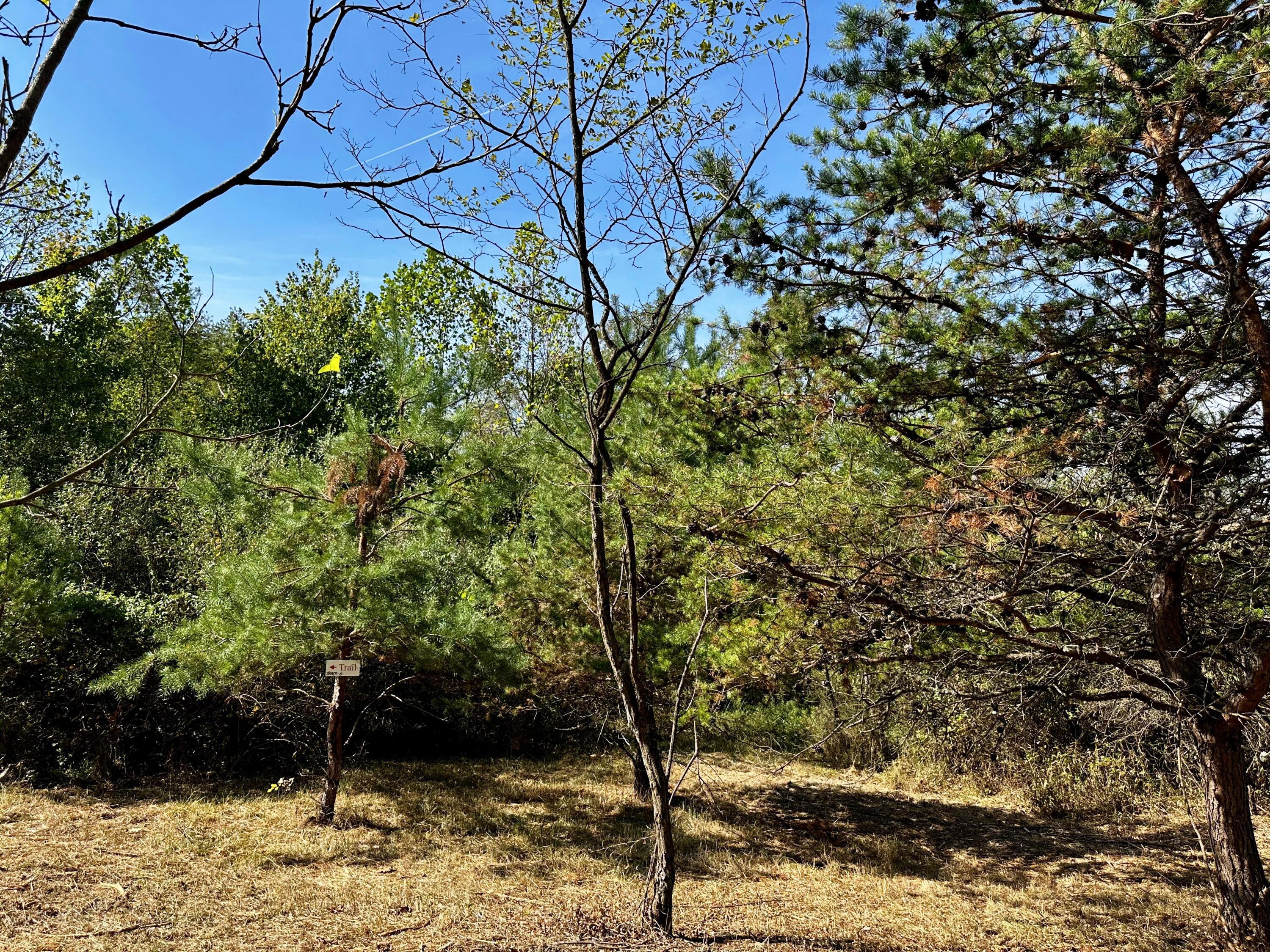 0 Dutch Ridge Road, Unit TRACT 6 AT DUTCH RIDGE) New Straitsville, OH 43766 - Photo 12 of 44 20240920_152446175_iOS