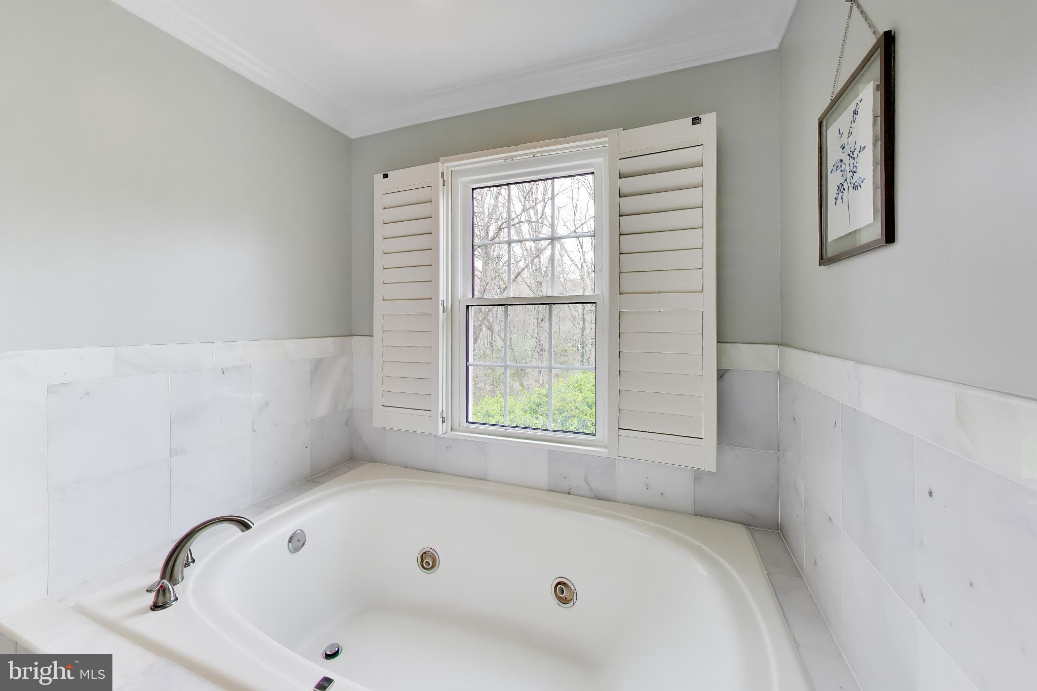 3137 Hunt Road Oakton, VA 22124 - Photo 37 of 93 Primary Bathroom Separate Soaking Tub