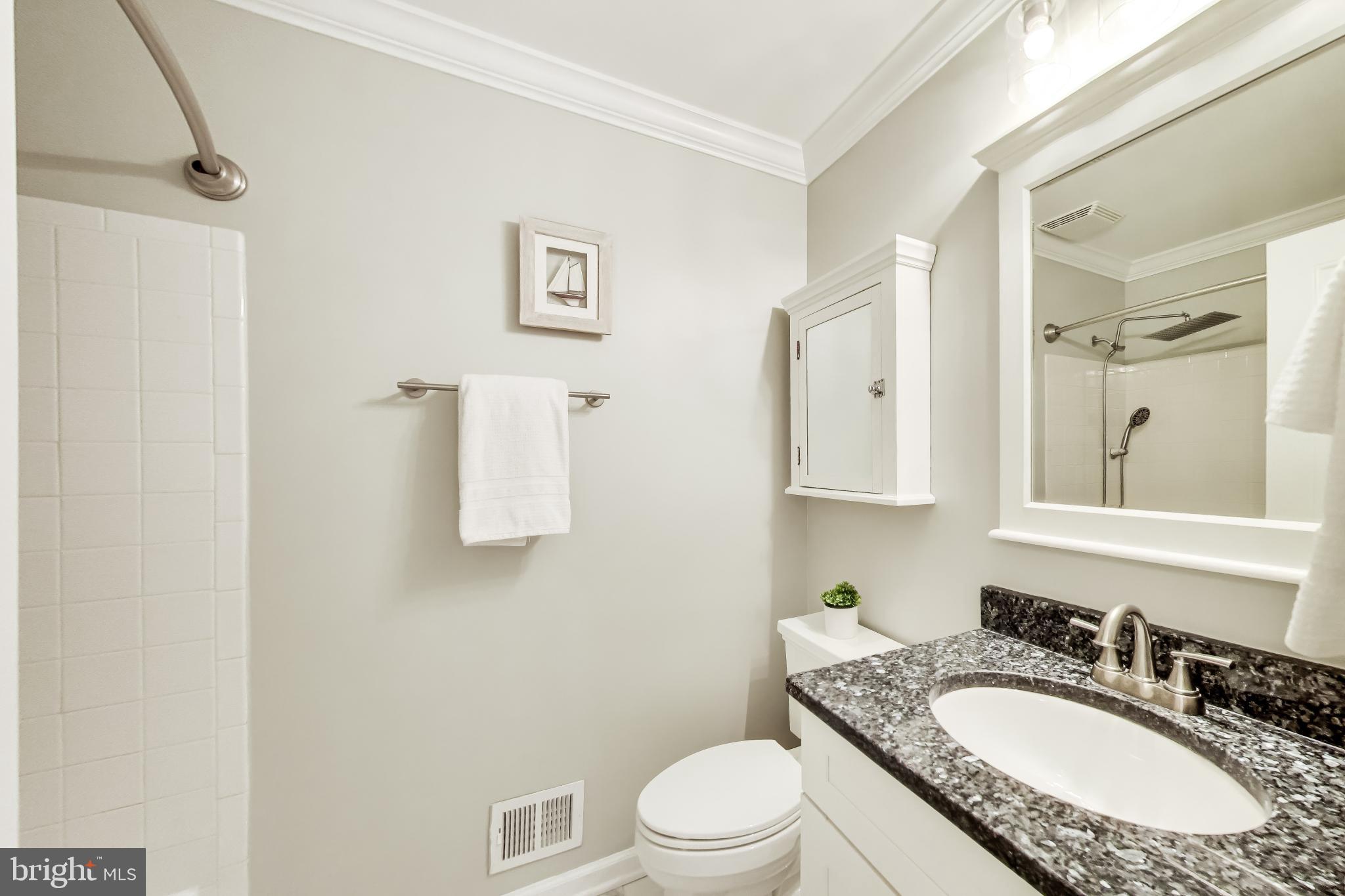 3137 Hunt Road Oakton, VA 22124 - Photo 47 of 93 Upper Level Sleek Hallway Bathroom