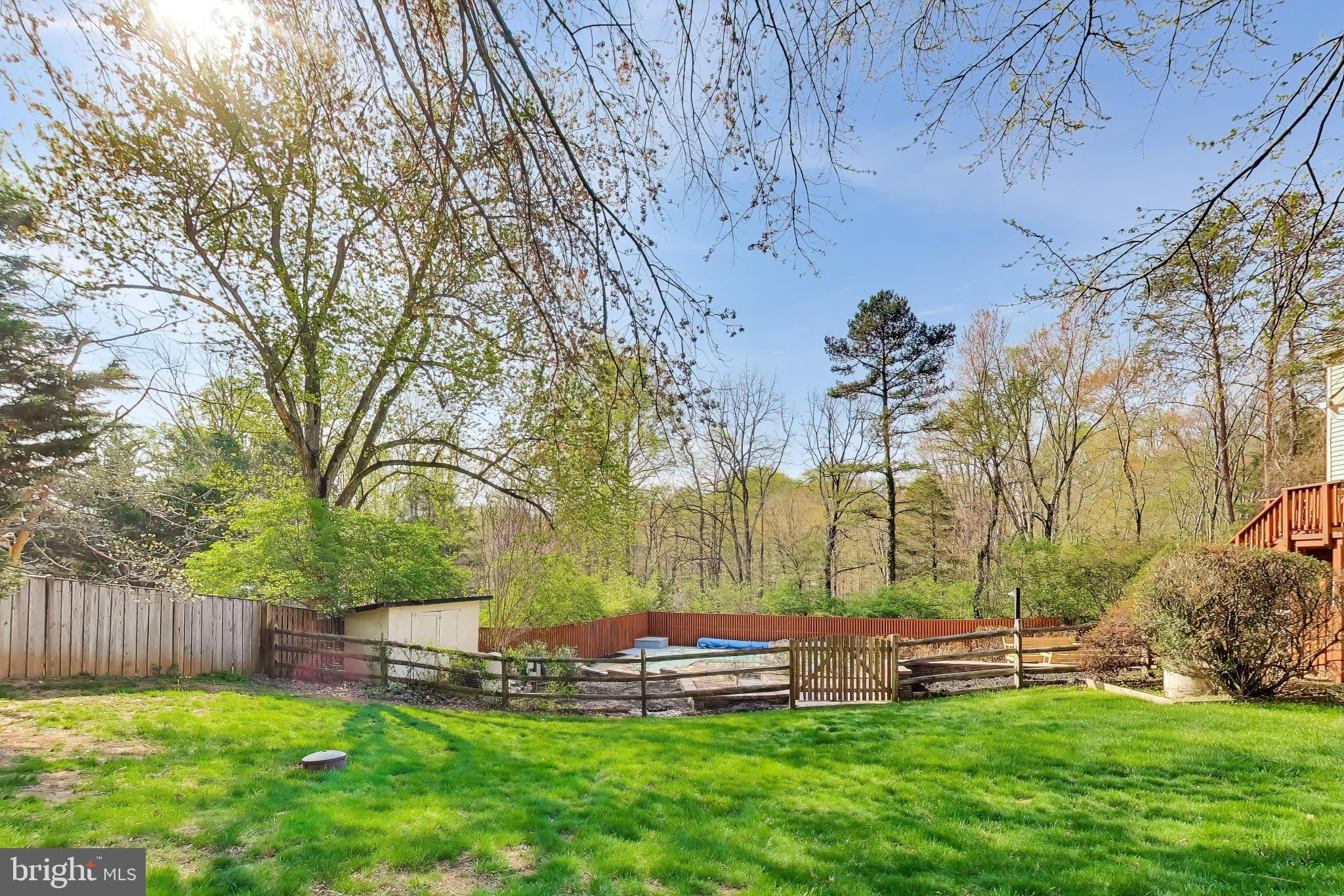 3137 Hunt Road Oakton, VA 22124 - Photo 70 of 93 Yard and Wooded Views