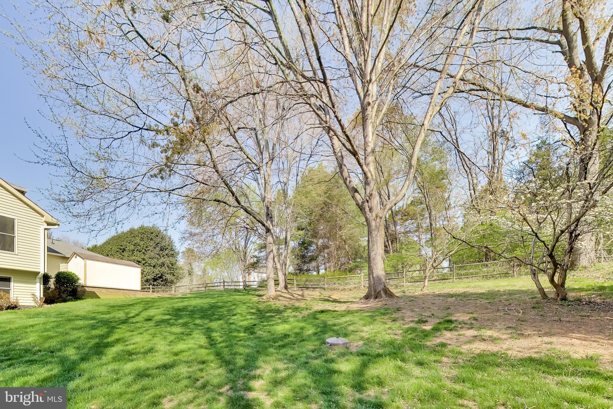 3137 Hunt Road Oakton, VA 22124 - Photo 71 of 93 Yard and Mature Trees