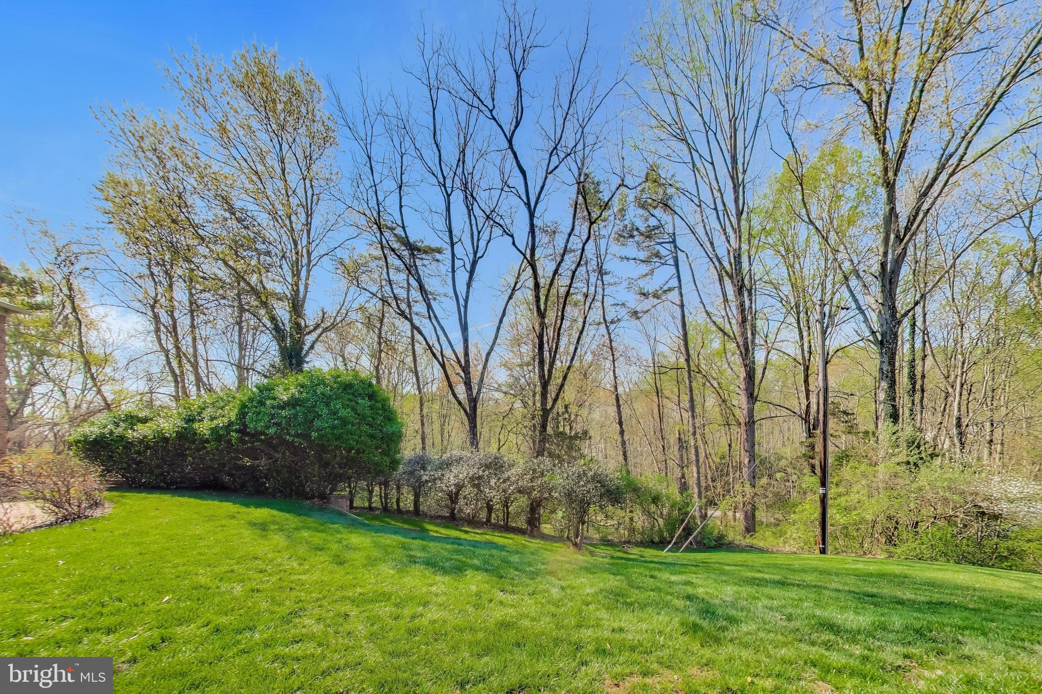 3137 Hunt Road Oakton, VA 22124 - Photo 78 of 93 Lush Front Yard