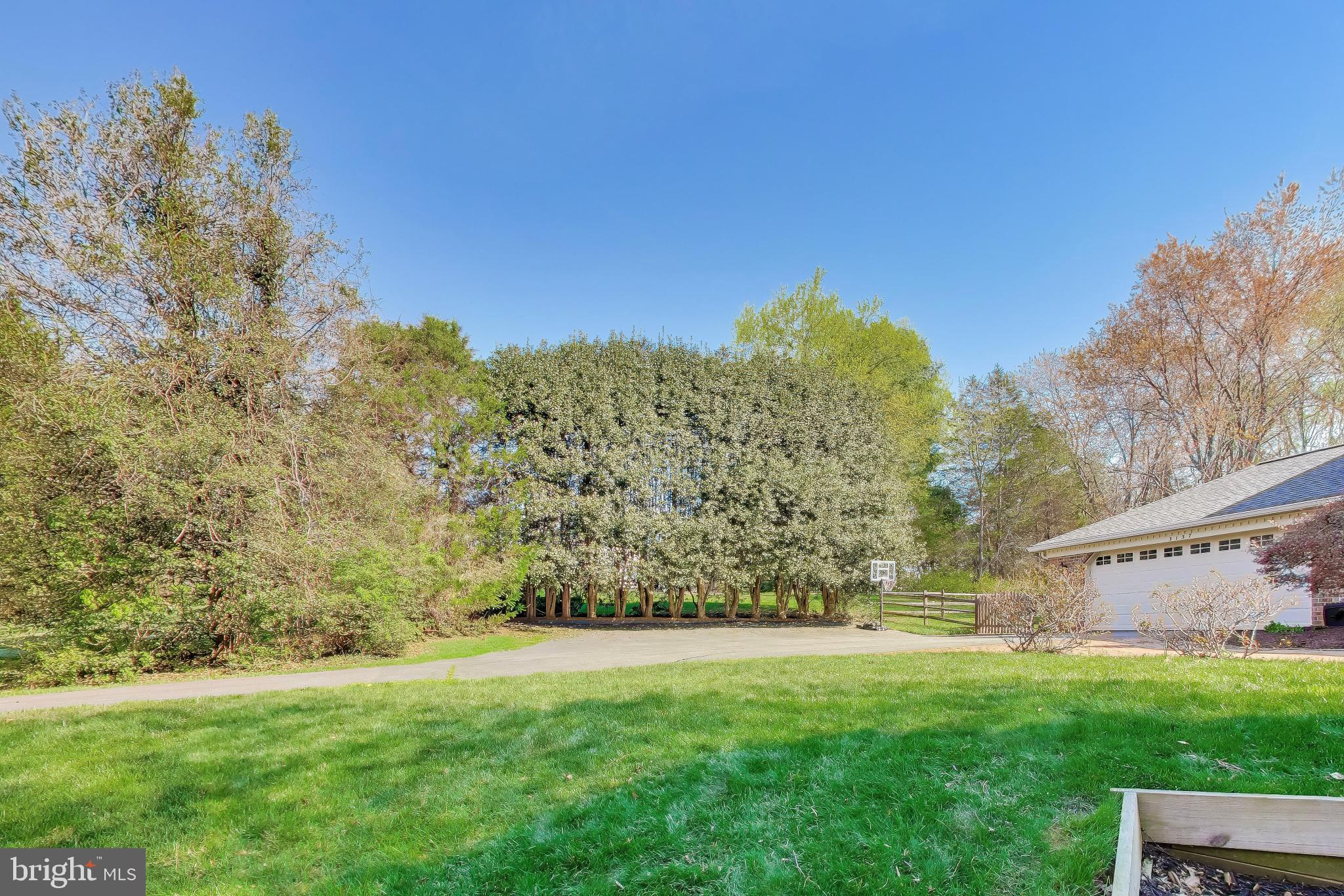 3137 Hunt Road Oakton, VA 22124 - Photo 80 of 93 Front Yard Landscaping