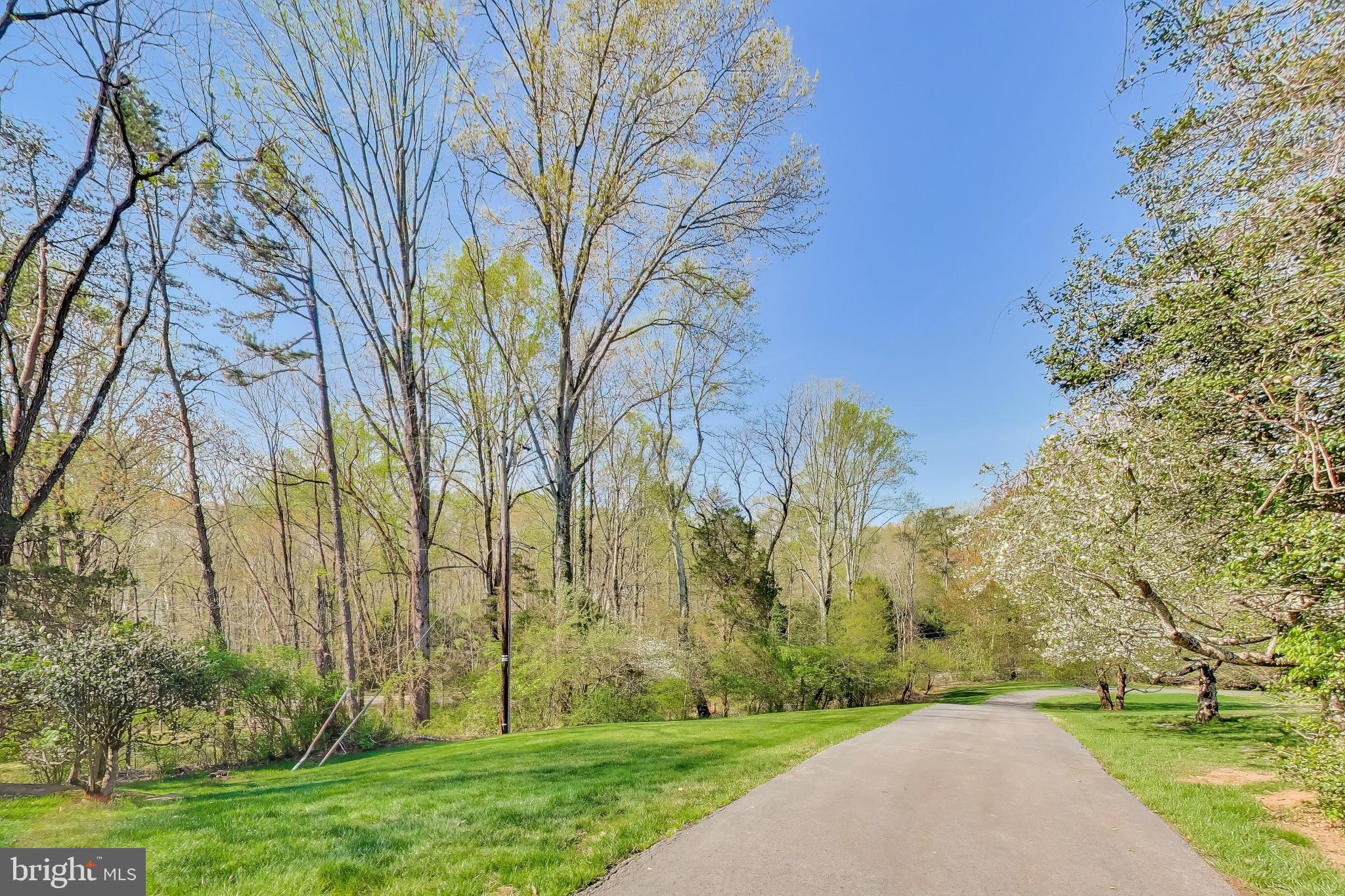 3137 Hunt Road Oakton, VA 22124 - Photo 83 of 93 Front Yard/Driveway