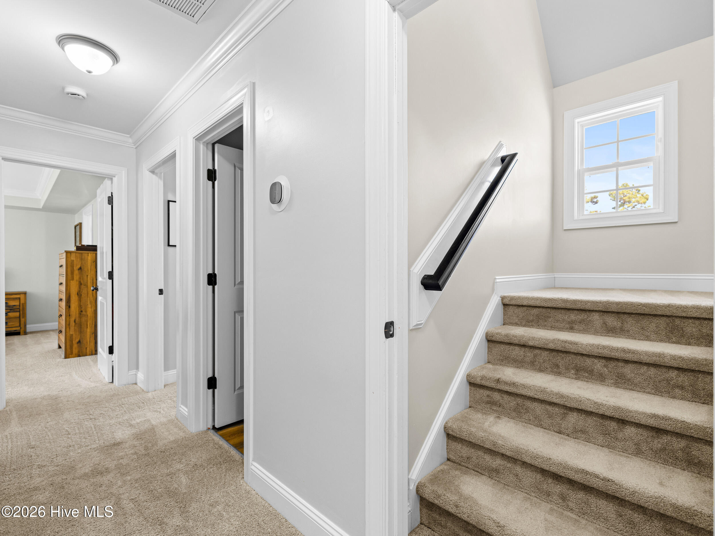 153 Mardella Way Holly Ridge, NC 28445 - Photo 59 of 63 a02a0234