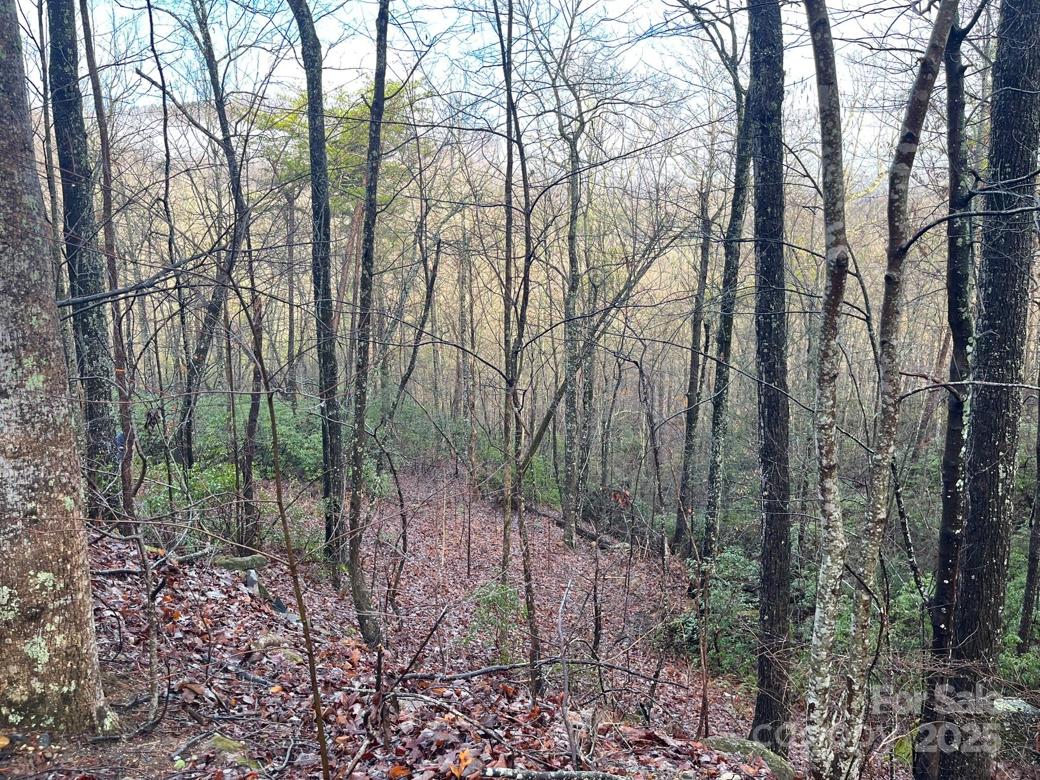 0 Ridgecrest Drive Lake Lure, NC 28746 - Photo 11 of 16