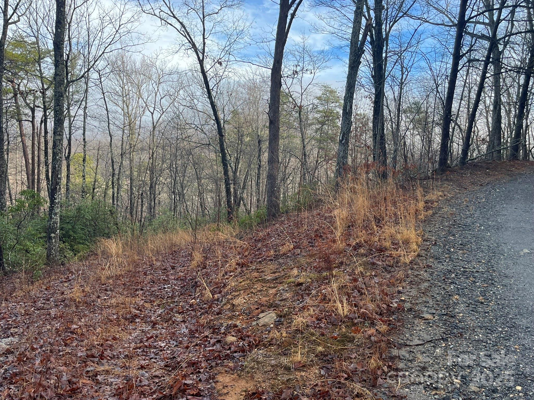 0 Ridgecrest Drive Lake Lure, NC 28746 - Photo 12 of 16