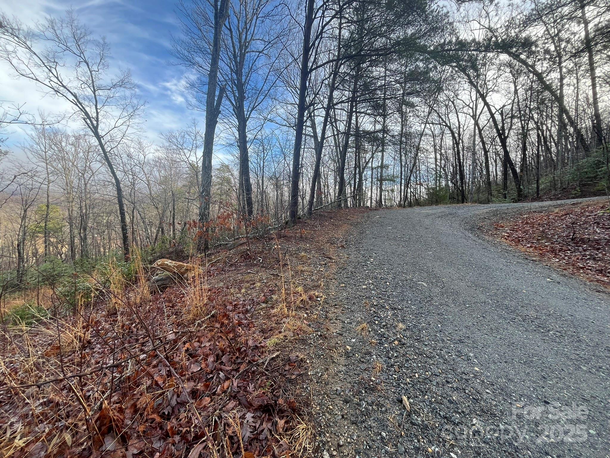 0 Ridgecrest Drive Lake Lure, NC 28746 - Photo 13 of 16