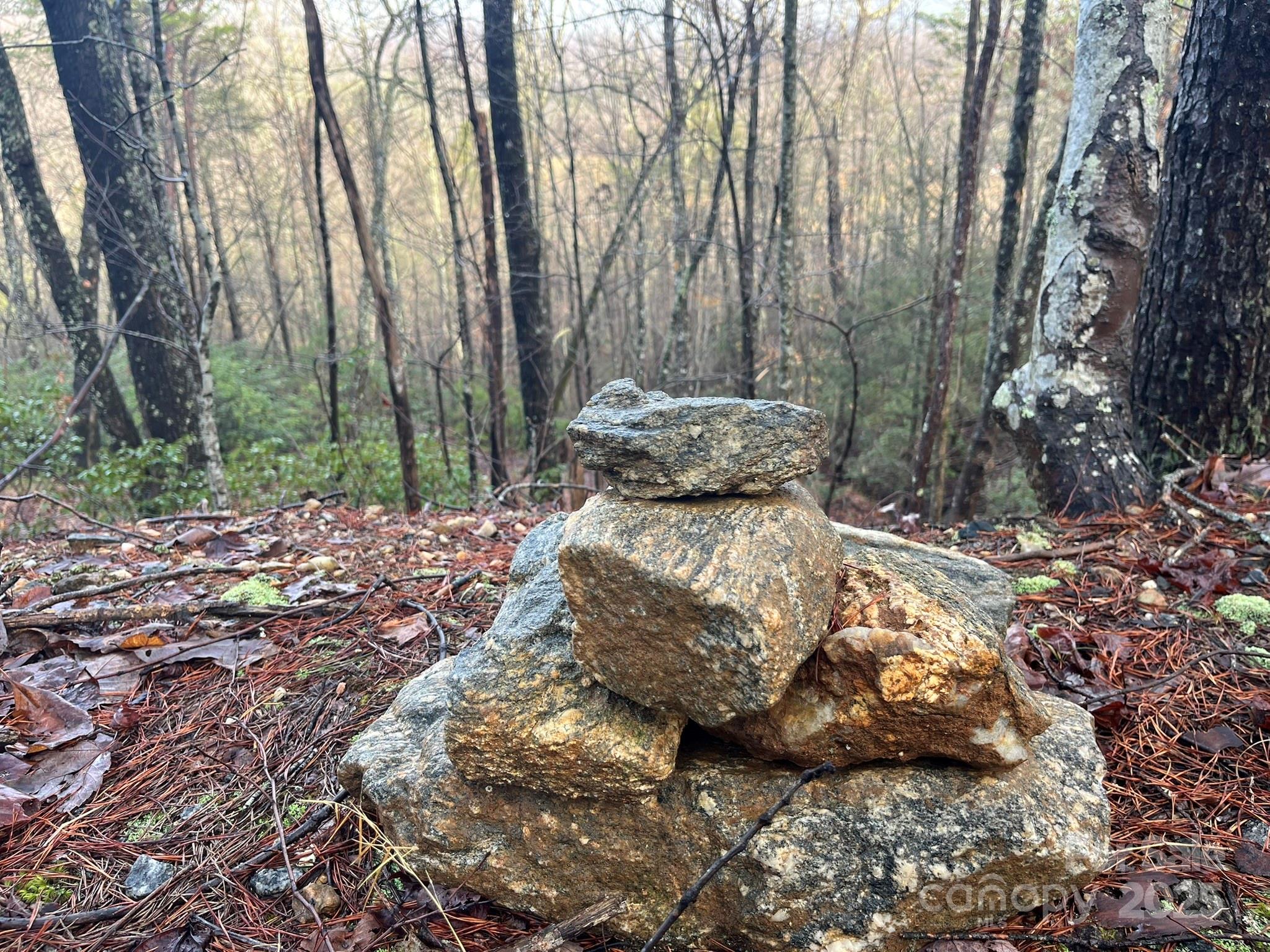 0 Ridgecrest Drive Lake Lure, NC 28746 - Photo 14 of 16