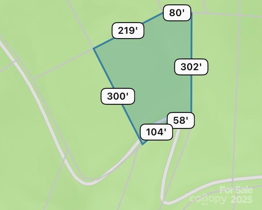 0 Ridgecrest Drive Lake Lure, NC 28746 - Photo 15 of 16