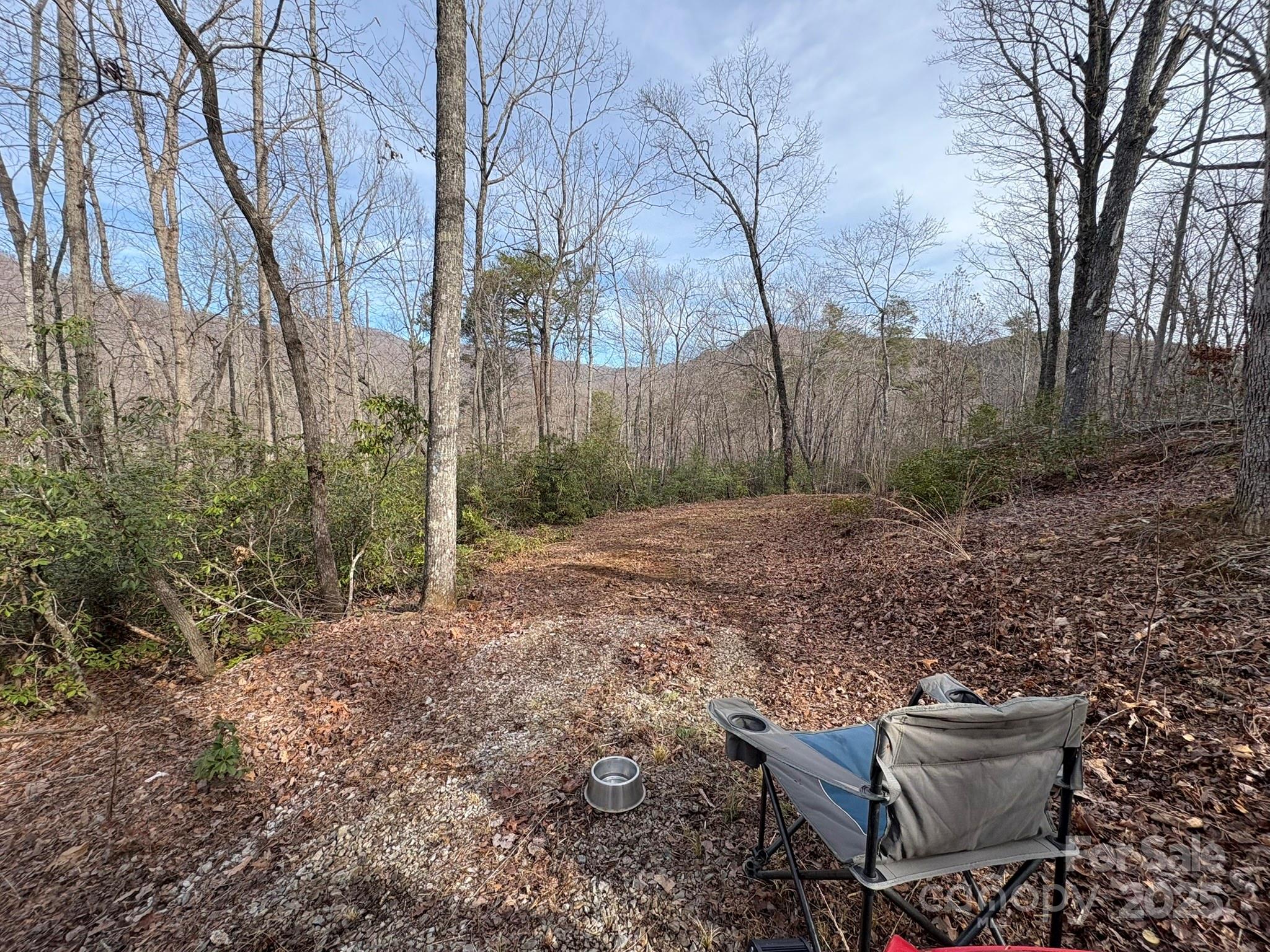 0 Ridgecrest Drive Lake Lure, NC 28746 - Photo 2 of 16