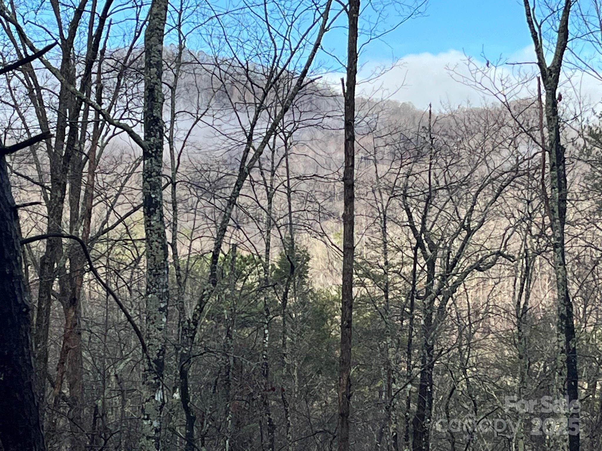 0 Ridgecrest Drive Lake Lure, NC 28746 - Photo 3 of 16