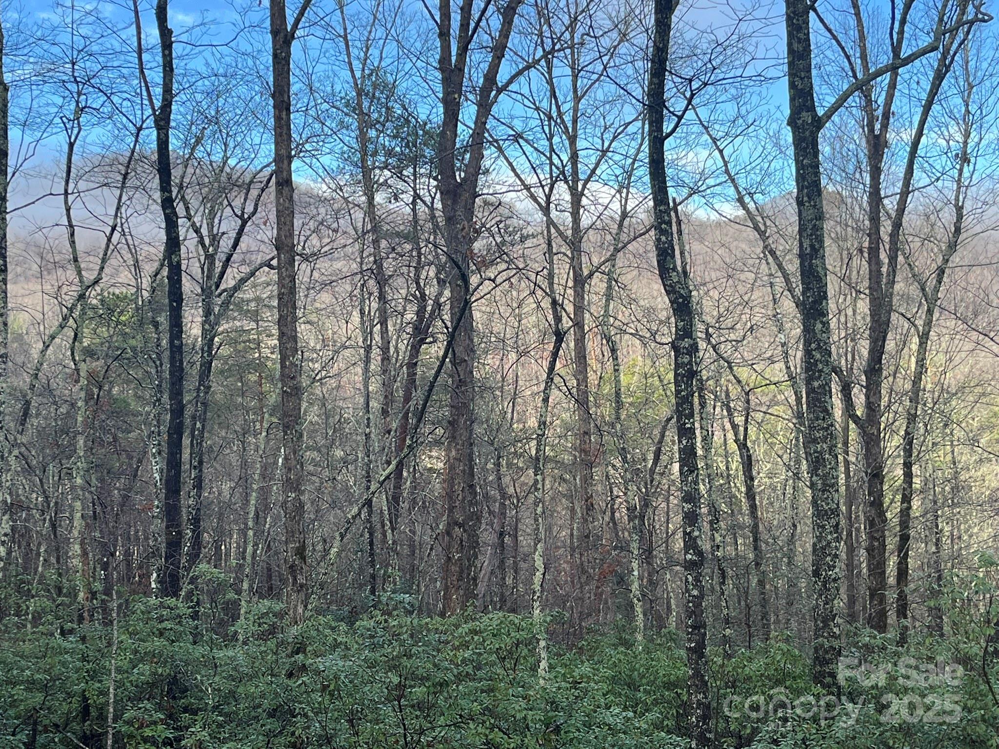 0 Ridgecrest Drive Lake Lure, NC 28746 - Photo 4 of 16