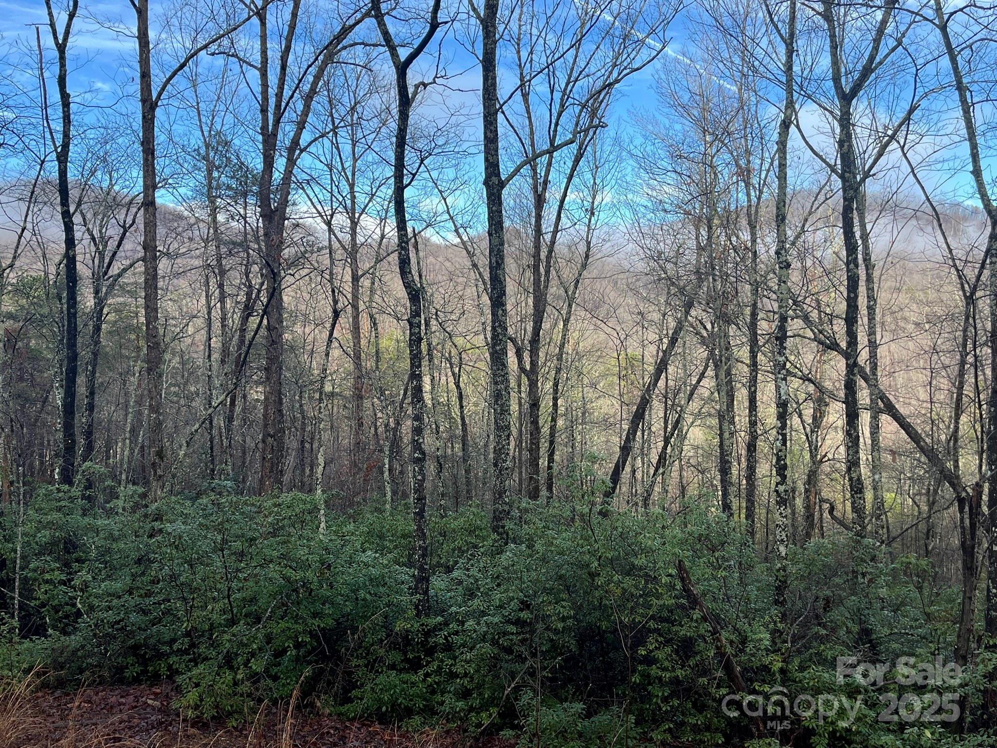 0 Ridgecrest Drive Lake Lure, NC 28746 - Photo 5 of 16