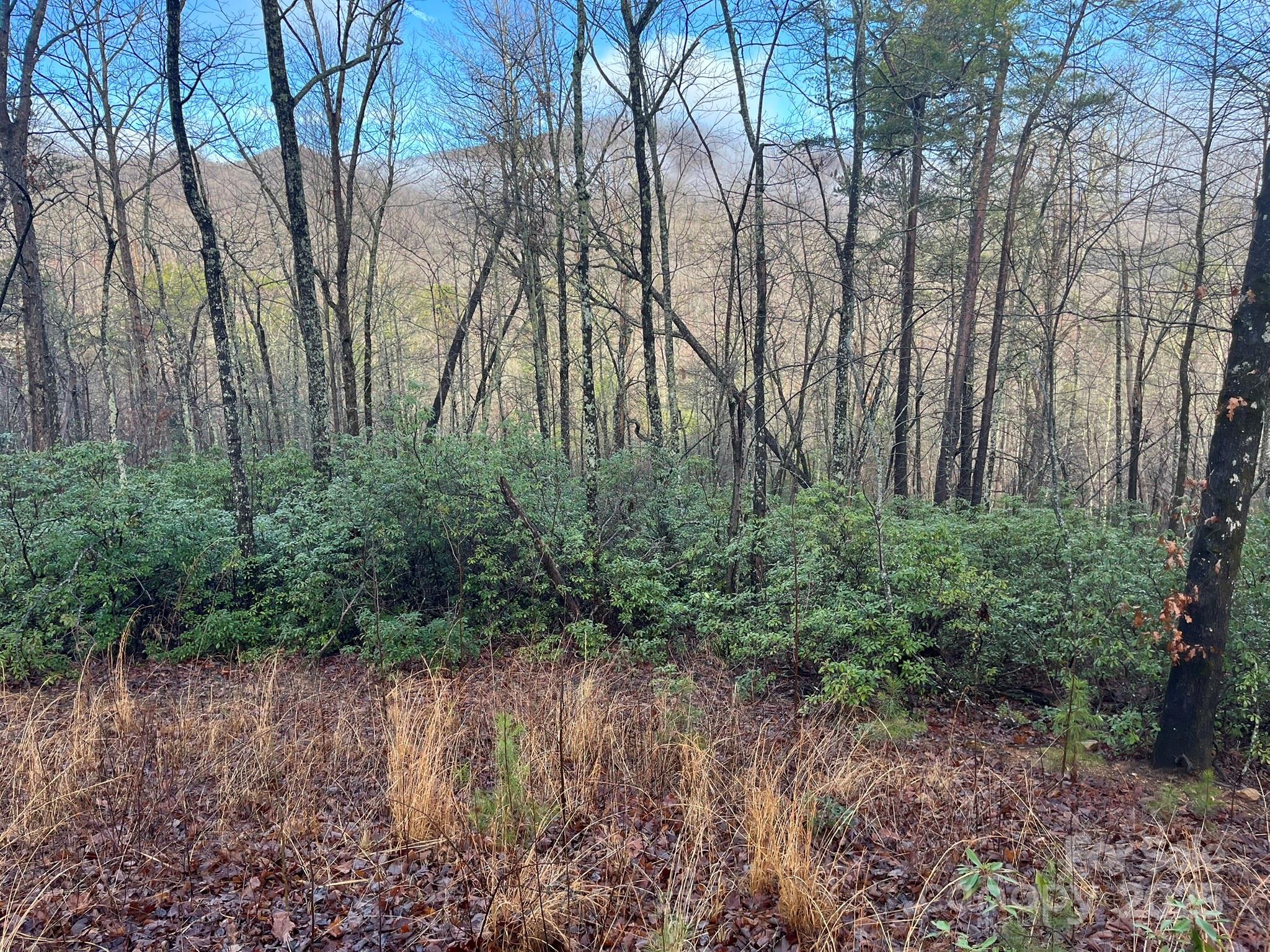 0 Ridgecrest Drive Lake Lure, NC 28746 - Photo 6 of 16