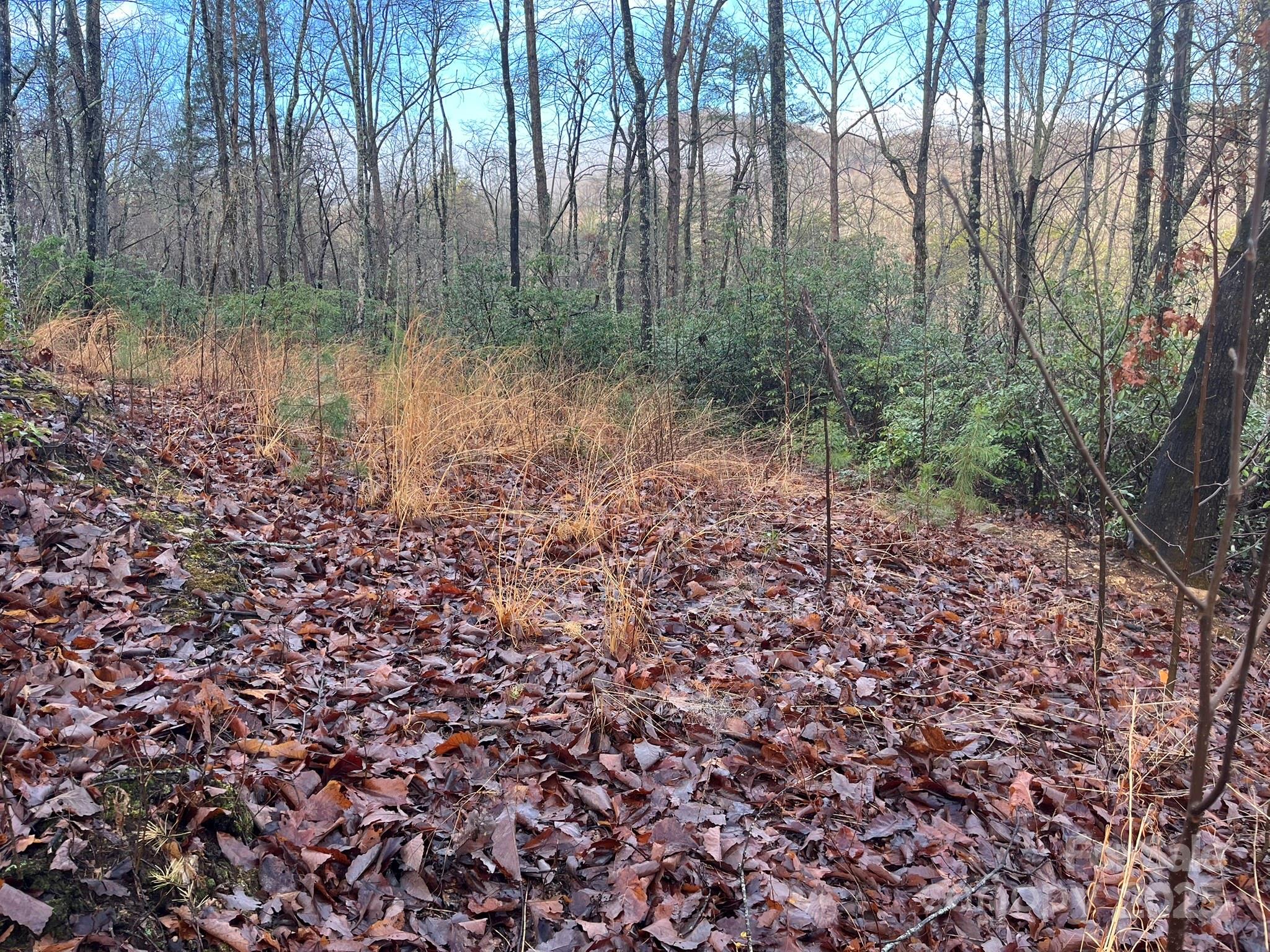 0 Ridgecrest Drive Lake Lure, NC 28746 - Photo 7 of 16