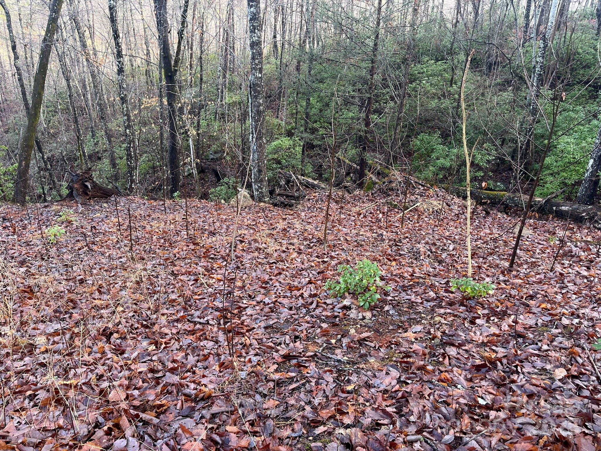 0 Ridgecrest Drive Lake Lure, NC 28746 - Photo 8 of 16