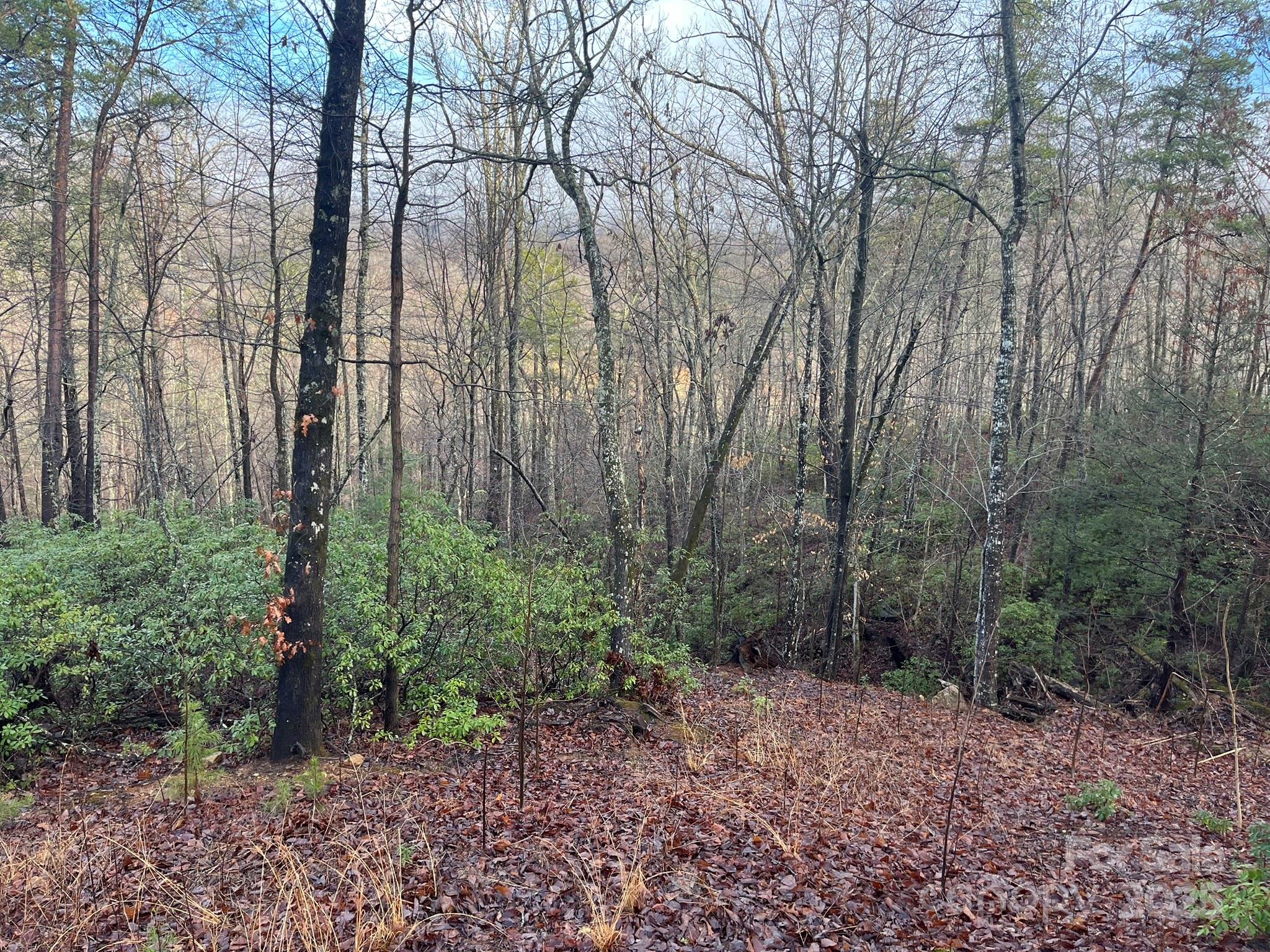 0 Ridgecrest Drive Lake Lure, NC 28746 - Photo 9 of 16