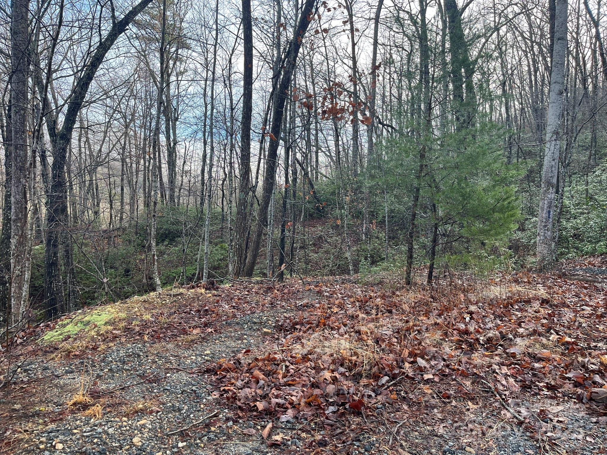 0 Ridgecrest Drive Lake Lure, NC 28746 - Photo 10 of 16