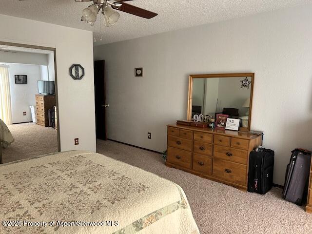 2976 Pinon Circle Craig, CO 81625 - Photo 14 of 24 IMG_5255