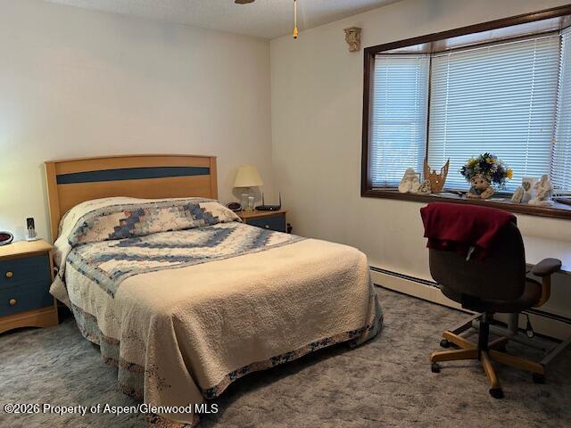 2976 Pinon Circle Craig, CO 81625 - Photo 16 of 24 IMG_5250