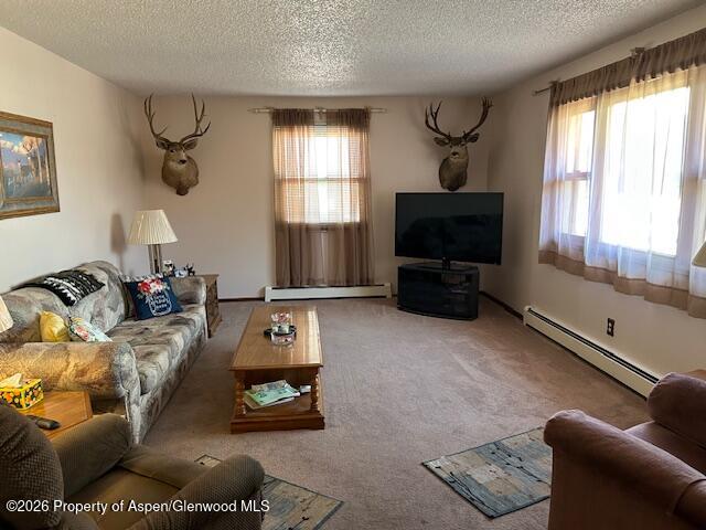 2976 Pinon Circle Craig, CO 81625 - Photo 5 of 24 IMG_5248