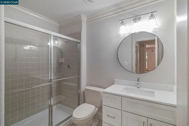 a view of a backyard with plants and a large tree