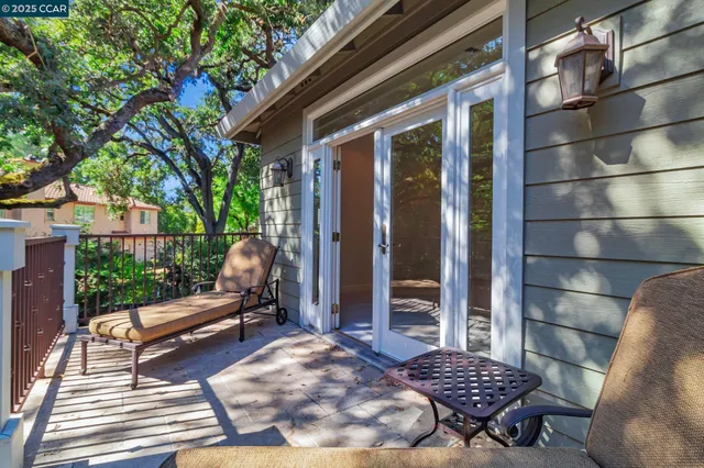 a view of a yard with plants and trees