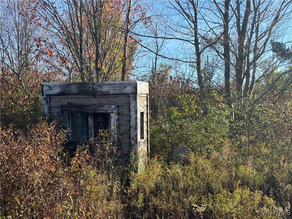 8835 Center Street Colden, NY 14080 - Photo 34 of 37