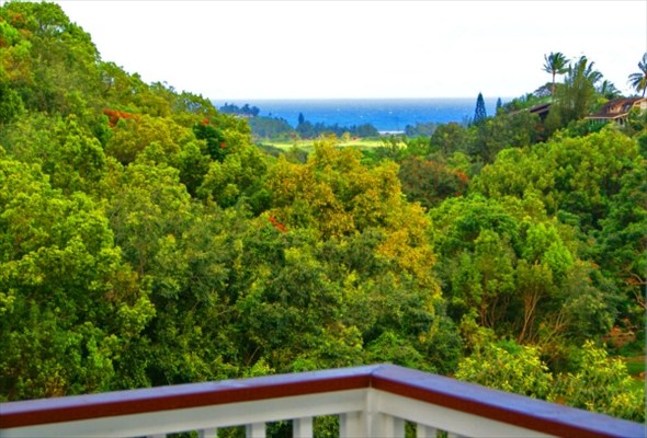 5609 Honua Road, Unit 1 Kapaa, HI 96746 - Photo 1 of 24 a view of a green field