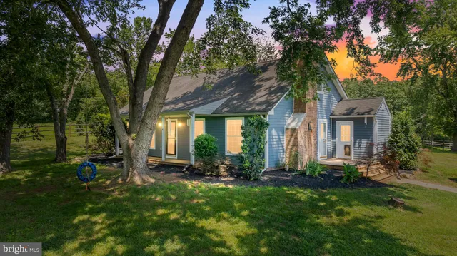 a view of a house with backyard and a tree