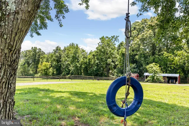 a view of a park with large trees