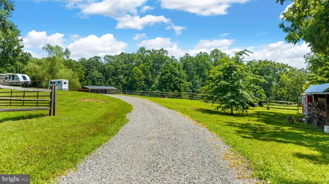 a view of a big yard with plants and large trees