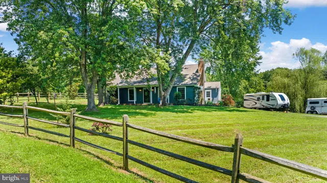 a view of a field with a tree
