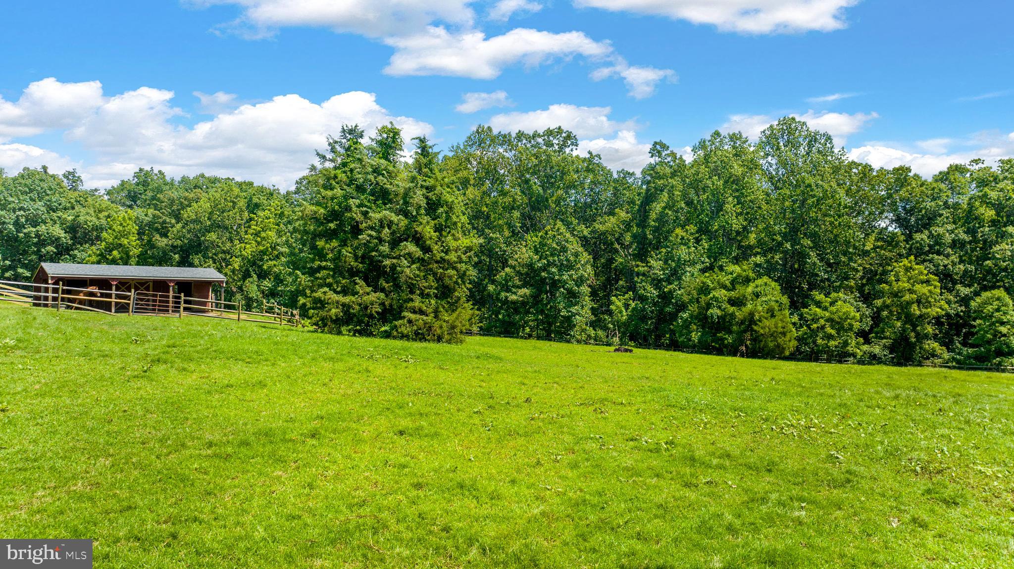9467 Old Waterloo Road Warrenton, VA 20186 - Photo 47 of 66
