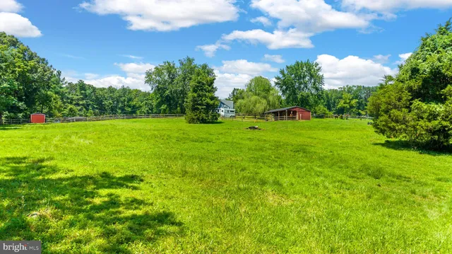 a view of yard with green space