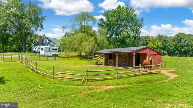 a view of a field with a tree in the background