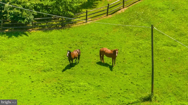 a livingroom with furniture staircase and a large window