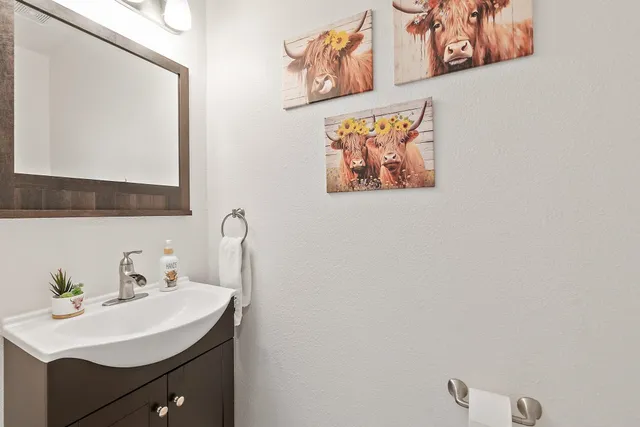 a bathroom with a sink mirror and vanity