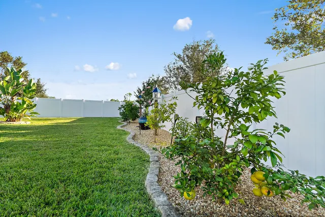 a view of a garden with a flower in a garden