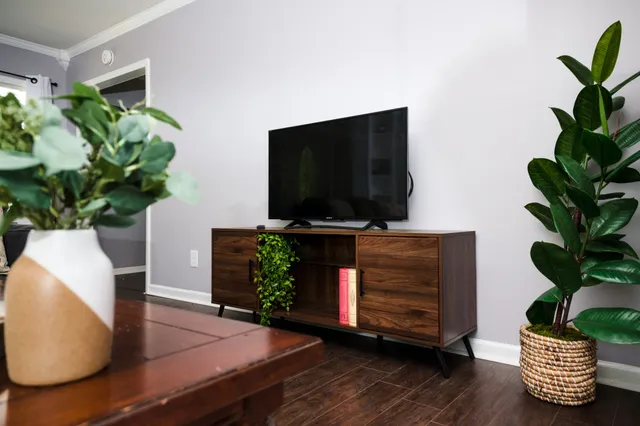 a living room with furniture and a potted plant