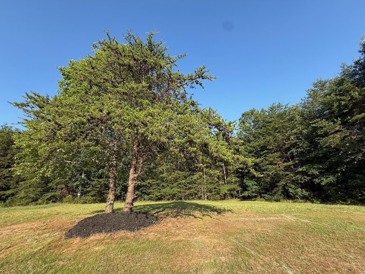 340 Hyder Road Inman, SC 29349 - Photo 6 of 42