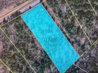 Lot#160 North State Line Rockingham, NC 28379 - Photo 1 of 1 GIS
