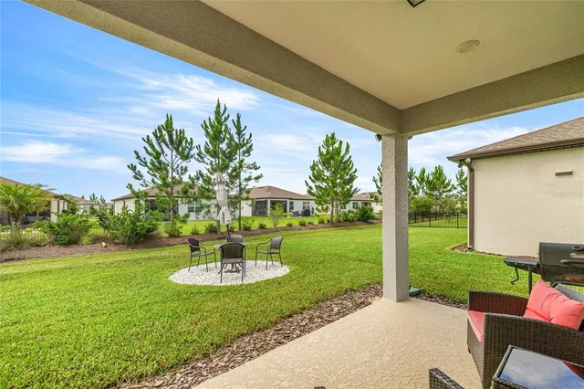 a view of a patio with couches plants and large trees
