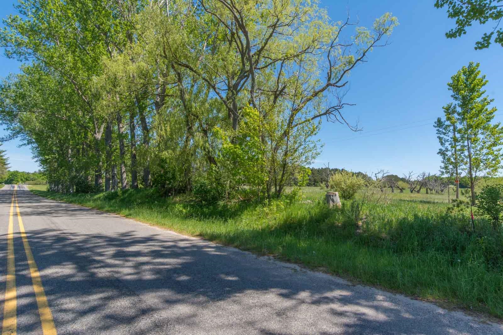 0 West Ryant Road Maple City, MI 49664 - Photo 20 of 25