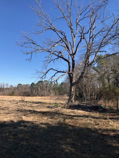 199 Abney Road Cochran, GA 31014 - Photo 4 of 13 Additional Photo